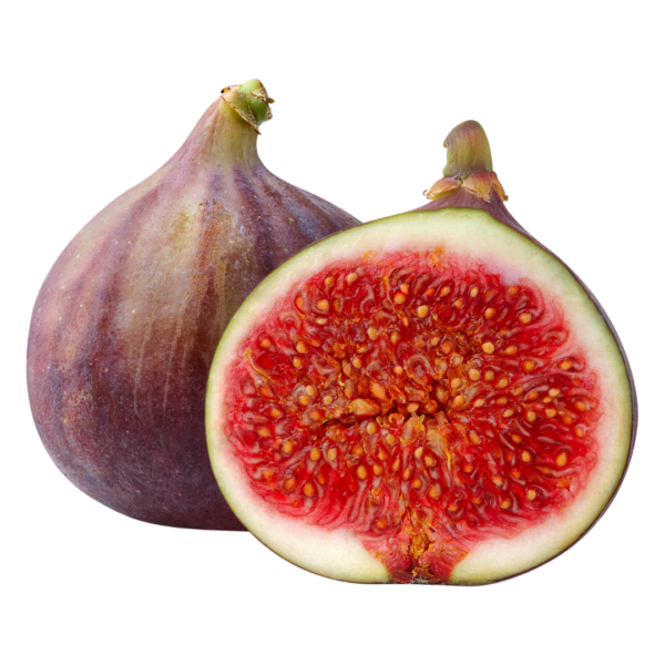 Anjir (fig)